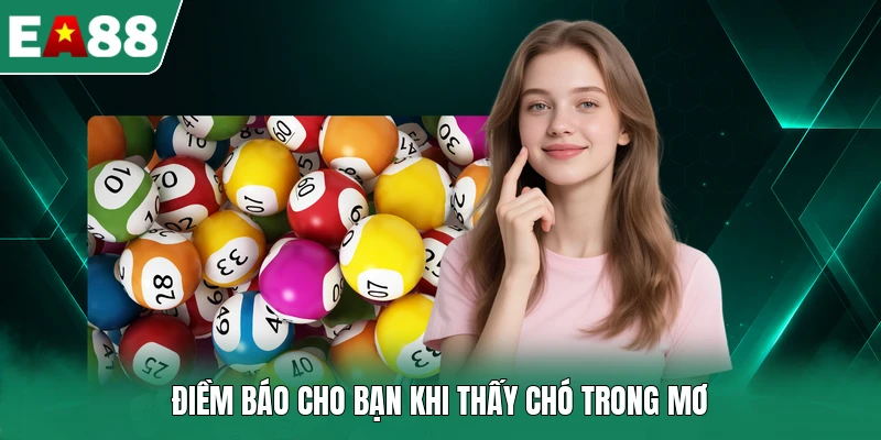 Điềm báo cho bạn khi thấy chó trong mơ